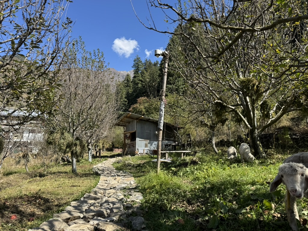 29356343 96ae 49f3 ba0d 78516fb4e936 1 105 c