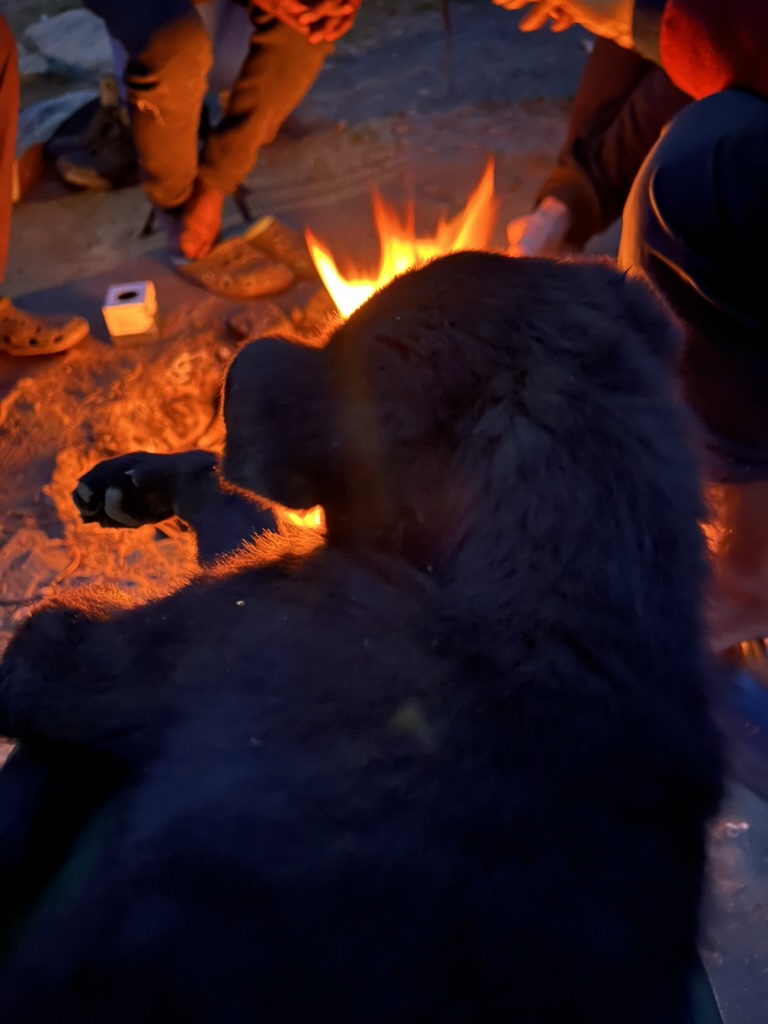 852113c2 7e33 4041 b0b7 c8999810d4ec 1 105 c