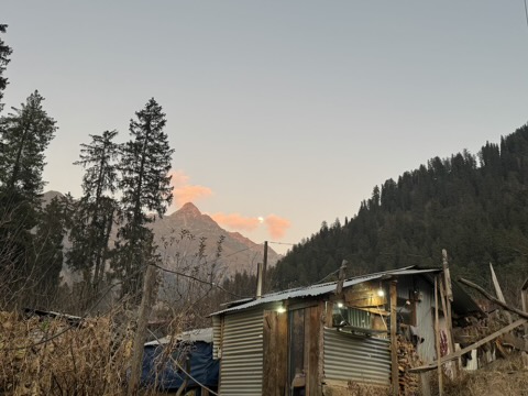 9362942d 103d 40a9 9e19 c787d364fd01 4 5005 c