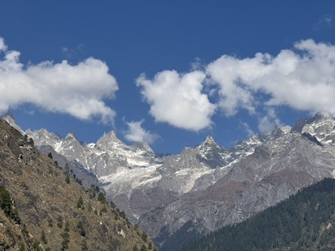 d2bd7c44 2602 4205 966c 313b0cf4f8d5 4 5005 c